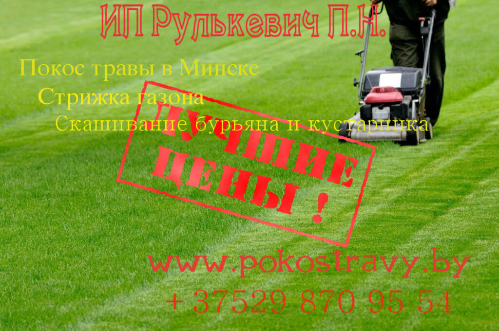 strizhka-gazona-gazonokosilkoj