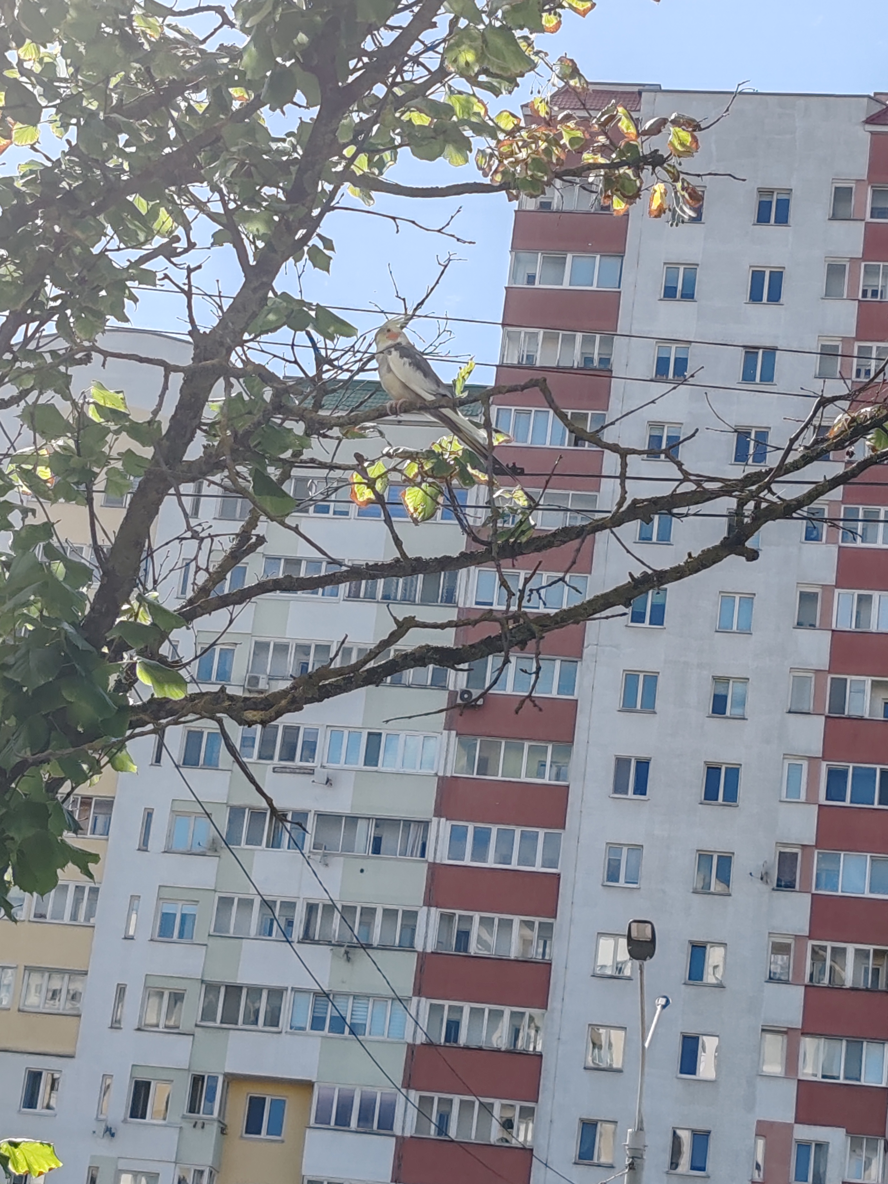 Не знаю